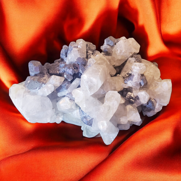 Moore Rocks & Fossils